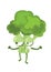 broccoli smirking. Vector illustration decorative design