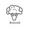 Broccoli thin line vector icon. Isolated cauliflower vegetable linear style for menu, label, logo. Simple vegetarian food sign