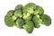 Broccoli vegetable isolated