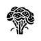 broccoli vitamin plant glyph icon vector illustration