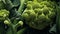 broccoli with waterdrops