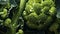 broccoli with waterdrops