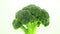 Broccoli whole cabbage rotates vertically, fresh green vegetable.