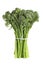 Broccolini