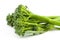 broccolini baby broccoli isolated