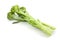 broccolini baby broccoli isolated