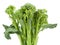 broccolini baby broccoli isolated