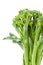 Broccolini baby broccoli isolated