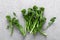 Broccolini. Fresh bunch of broccoli sprouts on a cooking table. Healthy food concept