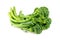 Broccolini isolated against white