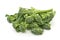 Broccolini on a white background