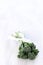 Broccolini on white rustic background