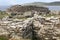 Broch of Gurness