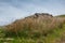 Brocken dry stone wall on moorland