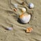 Brocken seashells and wet sand beach at hot sun summer day
