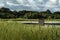 Brockholes Nature Reserve