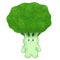 Brocoli cartoon character