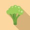 Brocoli icon flat vector. Food cabbage