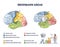 Brodmann areas map as brain region zones of cerebral cortex outline diagram