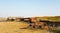 Broken agricultural machinery against the backdrop of a roadside