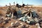 broken airplane propellers scattered in dry landscape