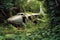 broken airplane wing amidst overgrown vegetation