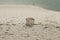 broken amphora on the shore of the Fiastra Lake