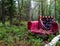 Broken armchair forgotten in a dense forest