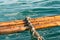 Broken bamboo raft float on the water