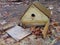 Broken Birdhouse Against The Dead Leaves