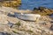 Broken boat on stoned beach, Solta, Croatia