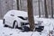 Broken car crashes into tree after losing control on slippery road in snowy forest.