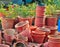 Broken clay flower pot colorful background. Damage concept.broke flower pot with red roses, Empty Flower Pot