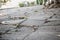 Broken concrete pathway brick surface background, close up abstract cracked cement block texture. Gray floor