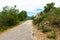 Broken country road with many potholes through the forest. Corsica, France