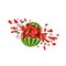 Broken crashed smashed watermelon on white background. Vector cracked watermelon. Watermelon splash. Isolated tropical fruit