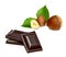Broken Dark chocolates with hazelnuts or filberts