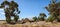 A broken decaying old timber farmers workers home surrounded by native trees on a dry barren agricultural proper