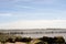 Broken Defences and Wooden Poles on Mersea Island