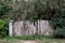 Broken and dilapidated white picket fence completely overgrown with dense trees and forest vegetation