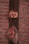 Broken Doll Face and Head hanging on brick wall decoration for Halloween party