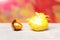 Broken easter golden egg shell, yellow hen, chicken bird