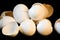 Broken Egg Shells Still Life, Black Background