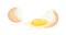 Broken egg vector illustration. Cracked eggshell, protein and yolk. Breakfast, omelette cooking. Diet product, healthy