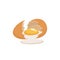 Broken egg with yolk. Cracked brown chicken egg on white background. Flat style vector illustration.