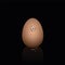 Broken Eggshell Hatching Baby Chick Eye Chicken Looking Out Of Egg