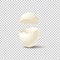 Broken empty eggshell on transparent background. Vector realistic design element.