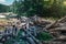 Broken Fallen Old Trees Lie In Summer Forest On River Background, Ecology Deforestation Concept