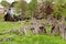 A broken fence behind which are the remains of a burned wooden h