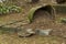 Broken flowerpot in Chapultepec park Mexico City